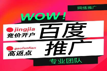 探索百度竞价托管公司的成功之路